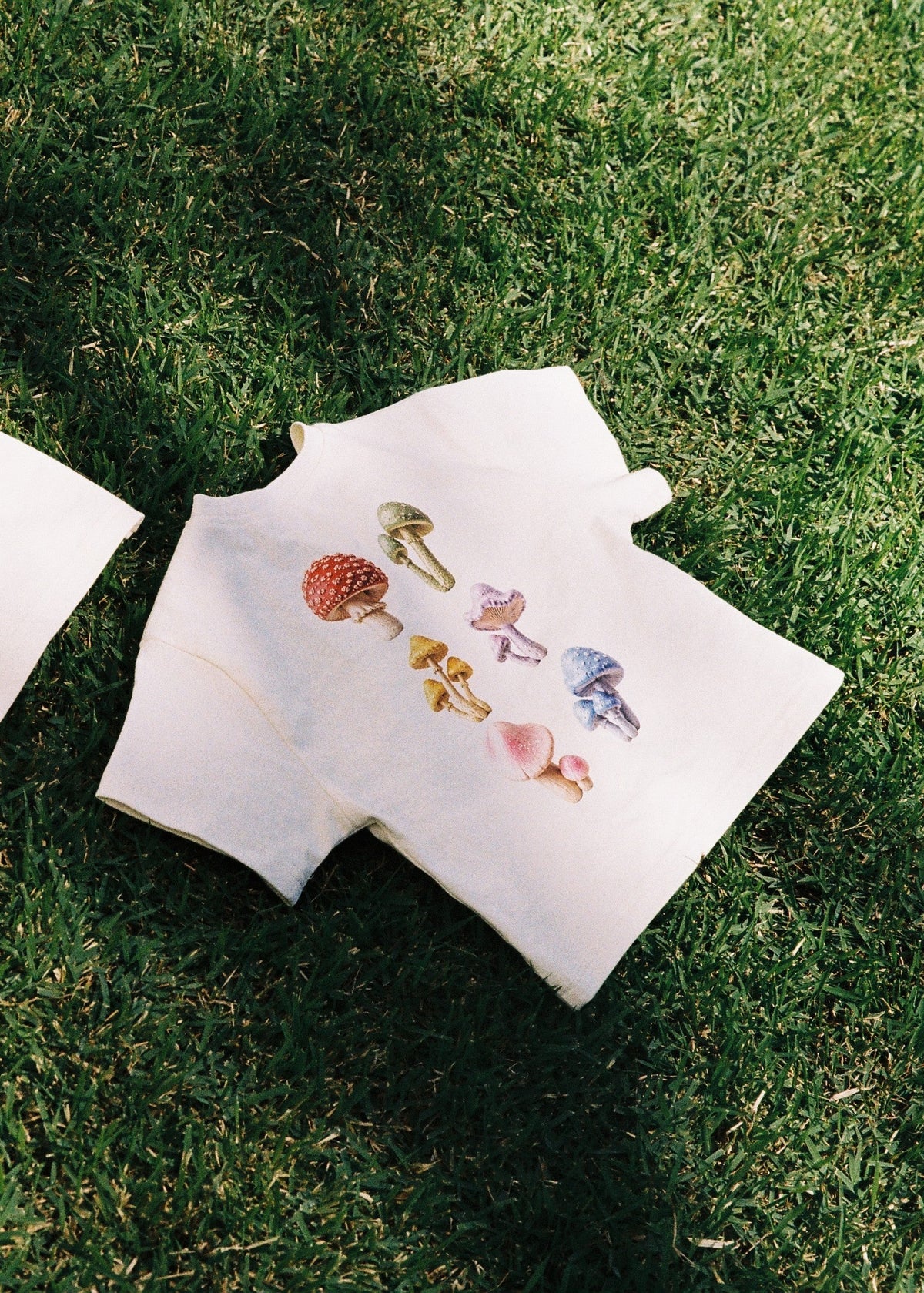 SOZO LAND Little Tee in Mushie Forest, an oversized vanilla cotton kids' T-shirt featuring original colourful woodland-inspired mushroom artwork across the back, photographed flat on green grass.